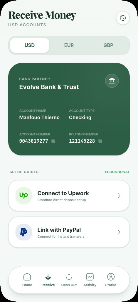 Receive screen showing virtual USD account details